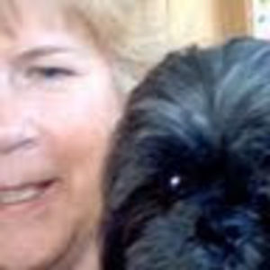 Meet your Posher, Terry